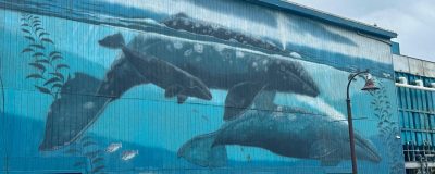Mural of whales at Agate Beach Inn